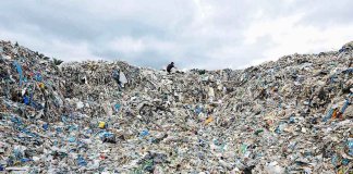 zlomex.pl - zlomex.pl 269 3884.jpg