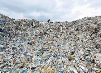 zlomex.pl - zlomex.pl 269 3884.jpg