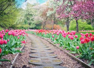 Architektura krajobrazu – sztuka kształtowania przestrzeni sopocka_architektura krajobrazu_6_2.jpg