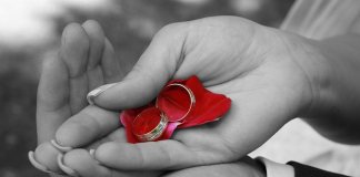 intransgroup_wynajem autokarów na wesele (2).jpg