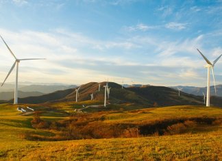 ekosolarzory-2025-05 - ekosolarzory_energia odnawialna_28_4 - Werka.jpg