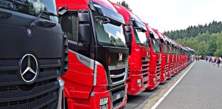 pony - zabudowy chłodnicze (4) - Werka.jpg