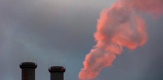 Werka - sklep z wykładzinami (3).jpg