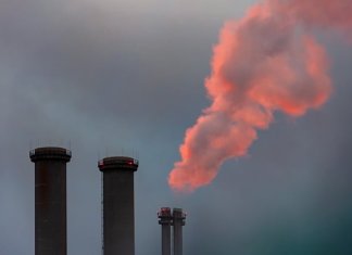 Werka - sklep z wykładzinami (3).jpg