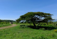 deluxetravelclub_luksusowe wakacje w Kenii-34_1.jpg