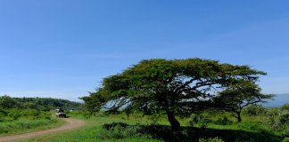 deluxetravelclub_luksusowe wakacje w Kenii-34_1.jpg