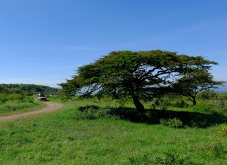 Safari w stylu glamour: Luksusowe rezerwaty przyrody w Kenii deluxetravelclub_luksusowe wakacje w Kenii-34_1.jpg