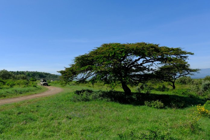 deluxetravelclub_luksusowe wakacje w Kenii-34_1.jpg