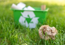 Forest odpady - utylizacja odpadów pokonsumpcyjnych - Michalina.jpg