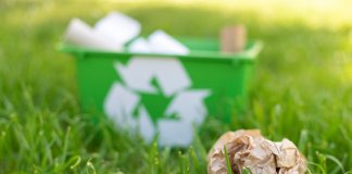 Forest odpady - utylizacja odpadów pokonsumpcyjnych - Michalina.jpg